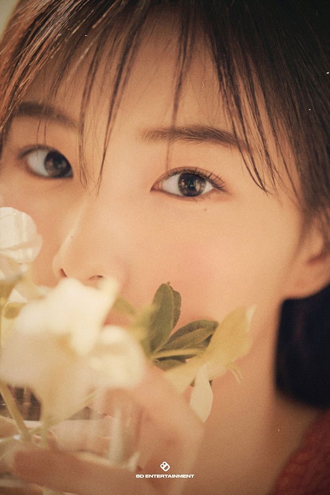 IZ*ONE - カン・ヘウォンの写真集『Beauty Cut』TypeA type Bのセット IZ*ONE - カン・ヘウォンの写真集『Beauty Cut』TypeA type Bの