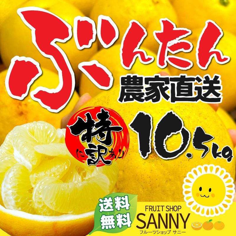 みかん 文旦 ぶんたん（値下げ3500円→2980円 100ケース限定）愛媛/高知県産 特に訳あり 文旦 ぶんたん 箱込10.5kg（10kg+保証分500g）（外皮の傷・シミ多め）（2月中旬～ご注文順に発送）※沖縄・離島・北海道は発送不可