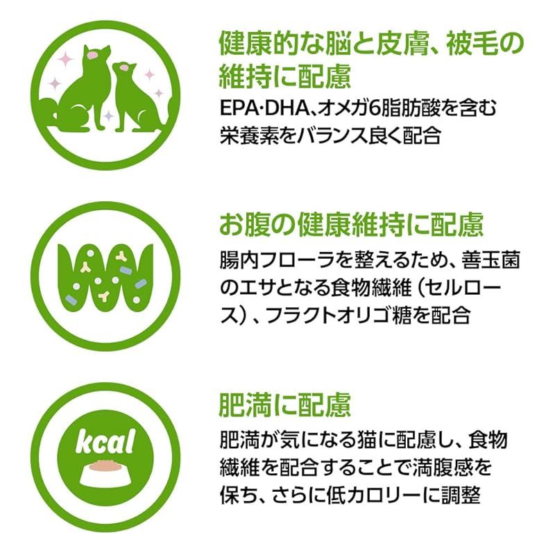 フィッシュ