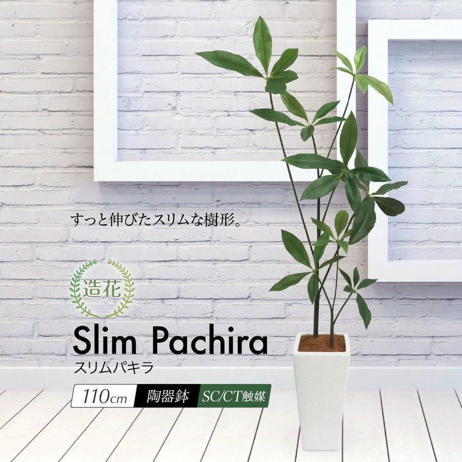 オリーブの木 ラキーノ 植物 盆栽 インテリア オリーブの木 ラキーノ