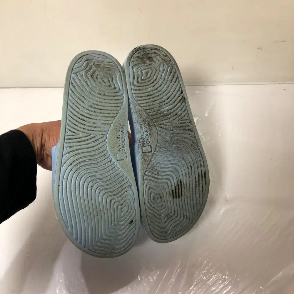 ガッコ National Geographic(ナショナルジオグラフィック) スリッパ 250mm