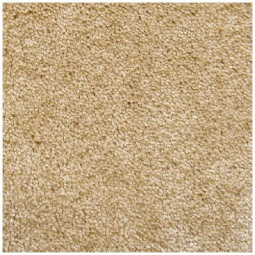 スタンダードマットＳ Ｗ９００×Ｄ６００ｍｍ シャンペーンAM00032 クリーンテックス ジャパン