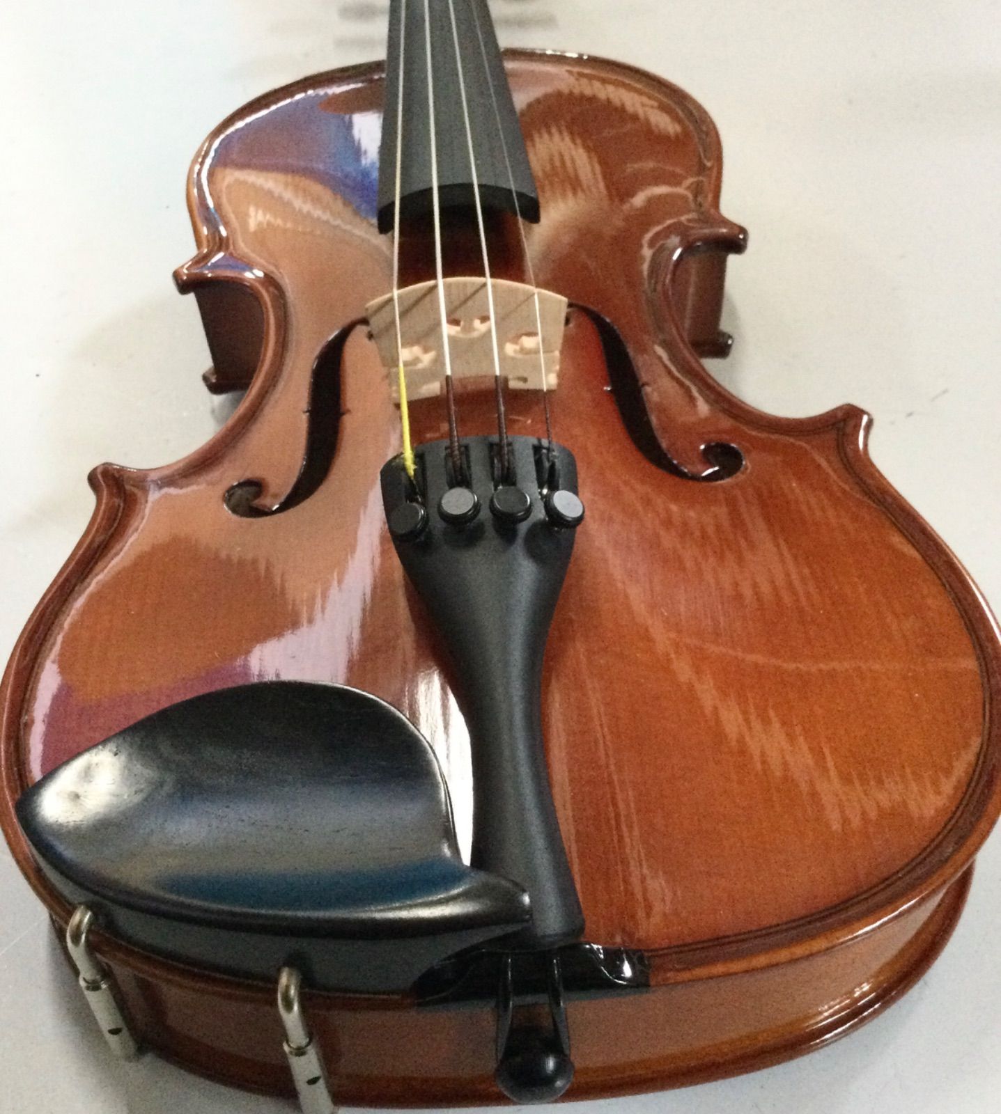 Carlo giordano カルロ ジョルダーノ バイオリン VS-1 1/4 anno 2017