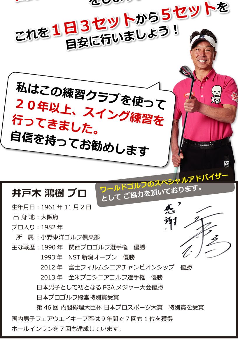 公式)ワールドイーグル WE PDSパワードッキースイング 800g メンズ