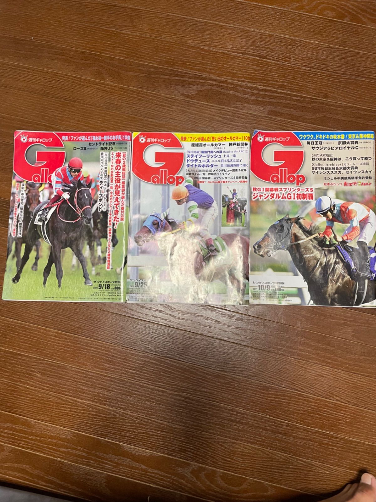 正規取扱店紹介 Gallopギャロップ 1998年10月毎日王冠 京都大賞典