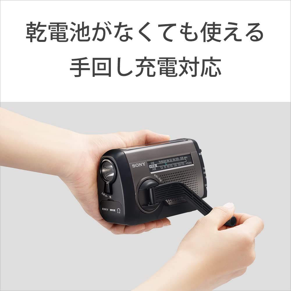ICF-B300