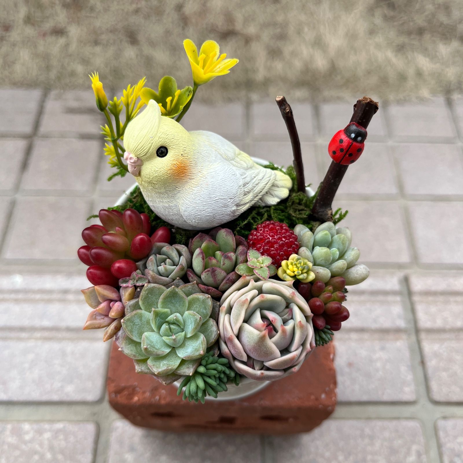 ♡そのまま飾れる♡ブリキ缶♬オカメインコちゃんの可愛い多肉植物寄せ