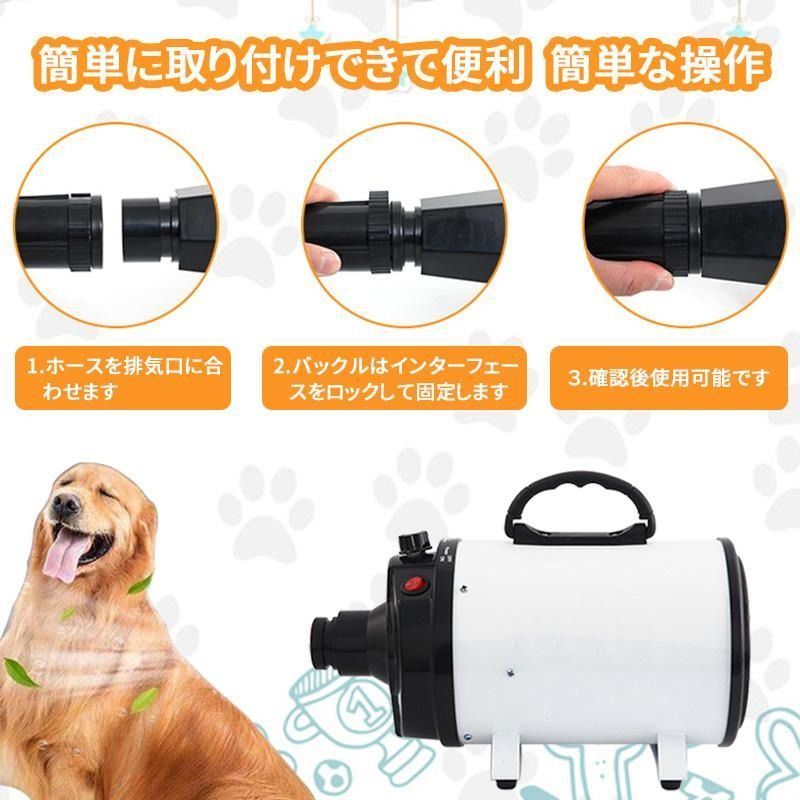 コンパクト