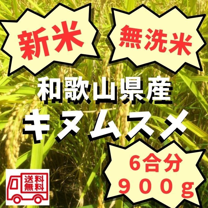 ‼初売りSALE‼令和4年 30キロ 玄米 キヌムスメ 和歌山県産