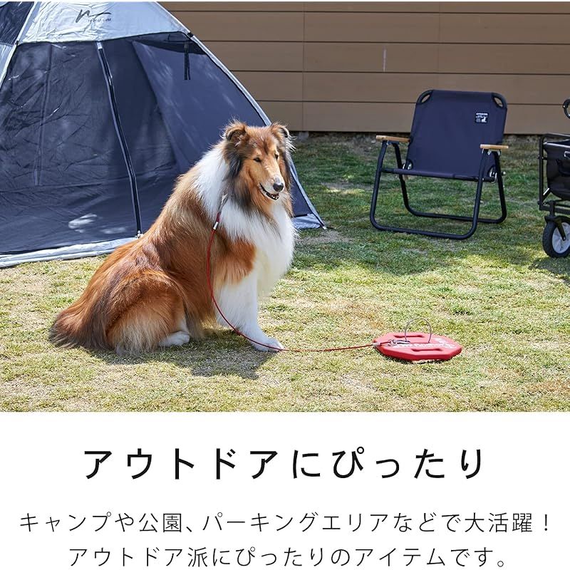 係留