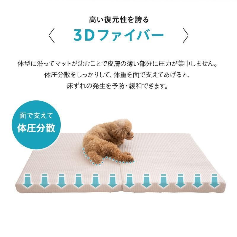 ねどっこ