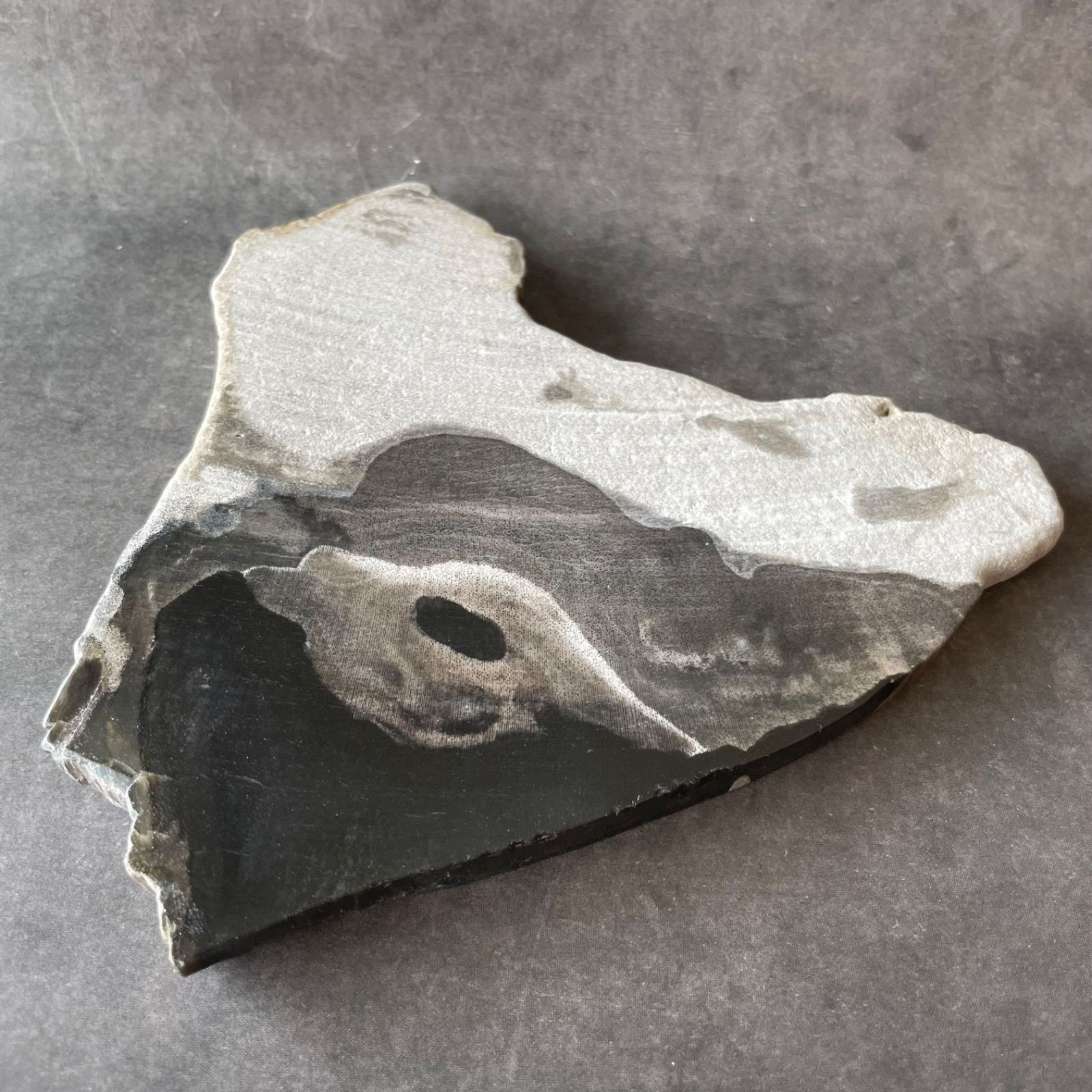 フォロー割あり】インドネシア産♦︎Petrified Wood ペトリファイド