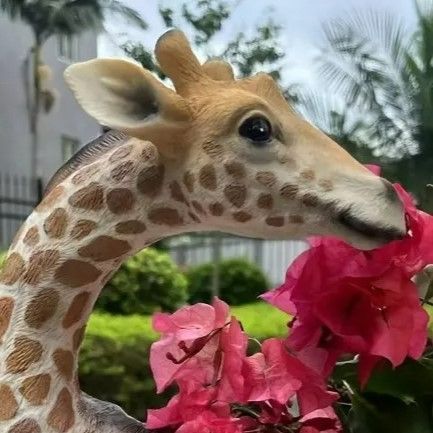 インテリア お洒落