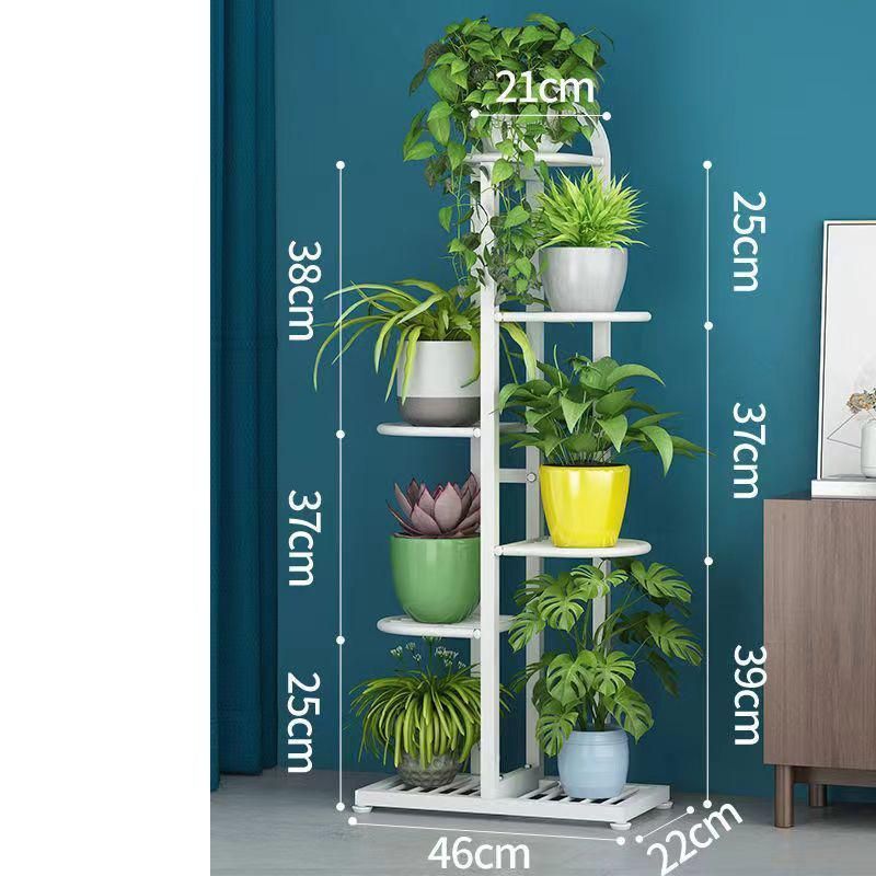 アイアン 観葉植物