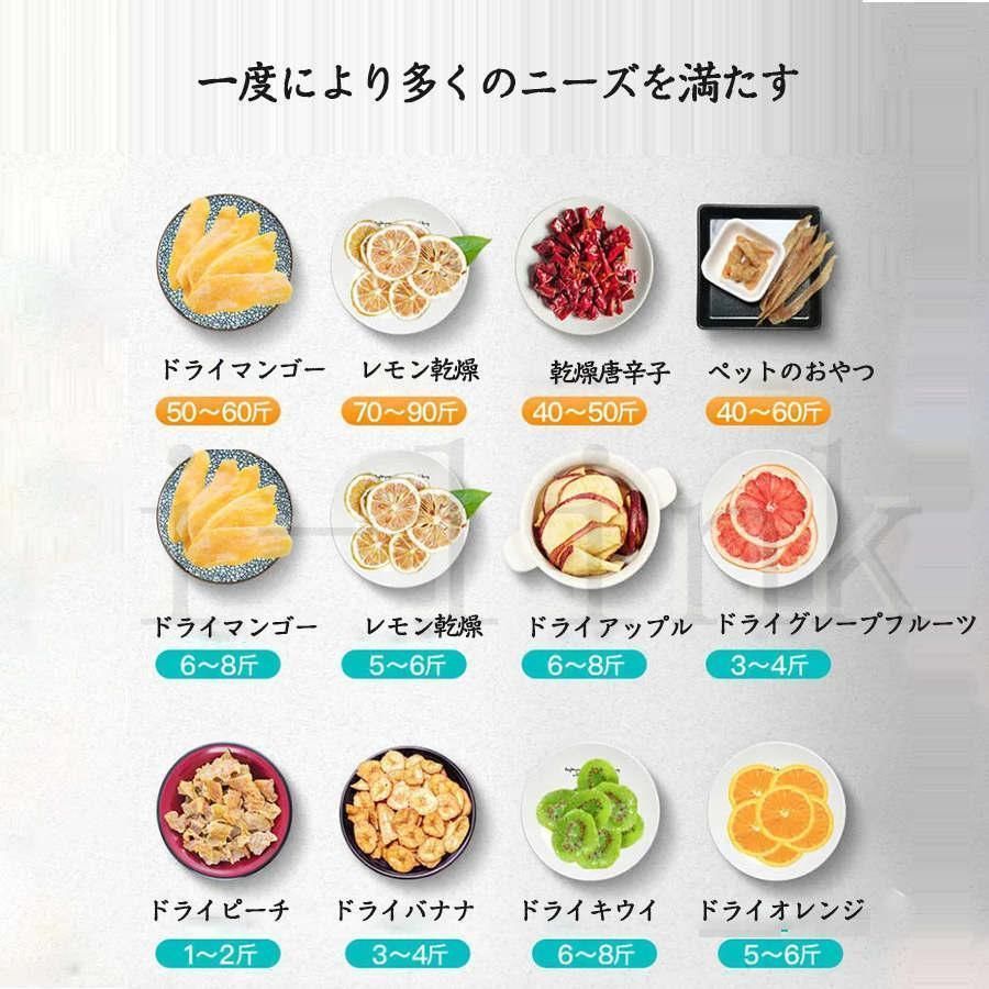 熱風循環ドライフルーツ