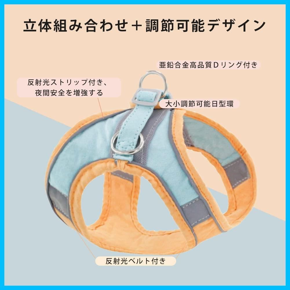 胴輪