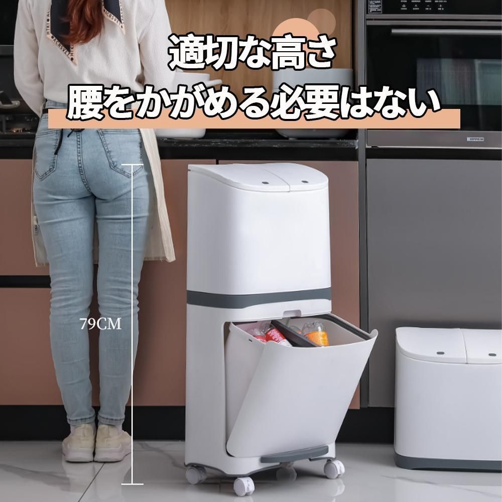 リビング2段 ダストボックス
