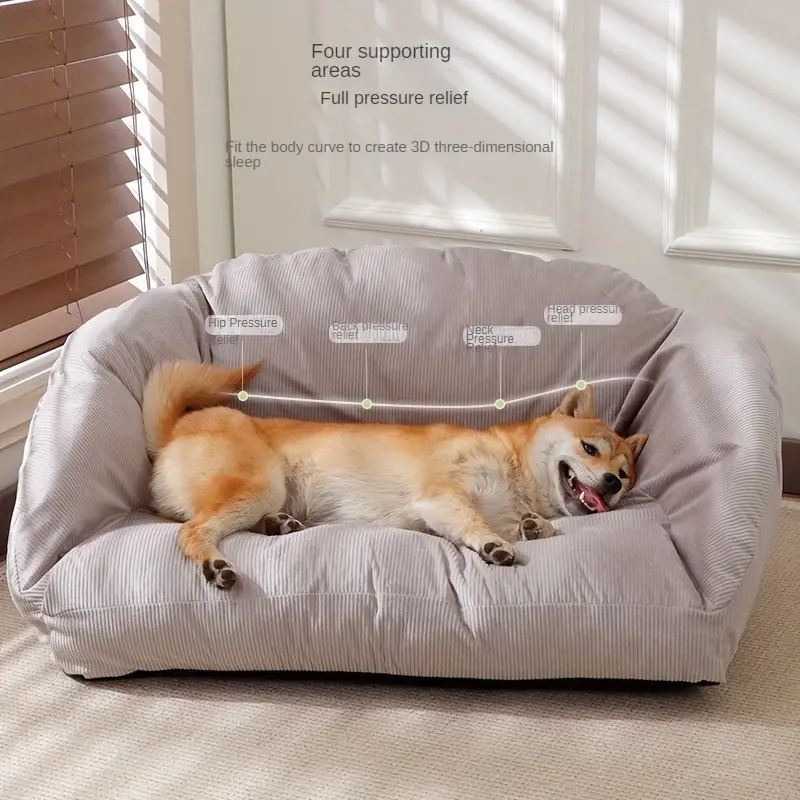 大型犬 小型猫