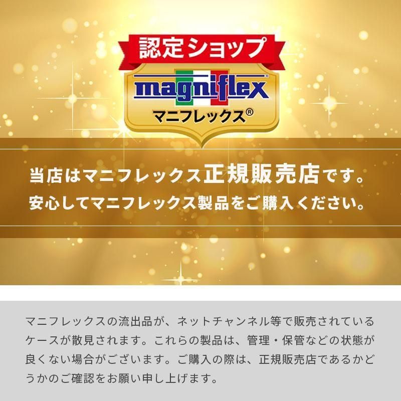 ケース