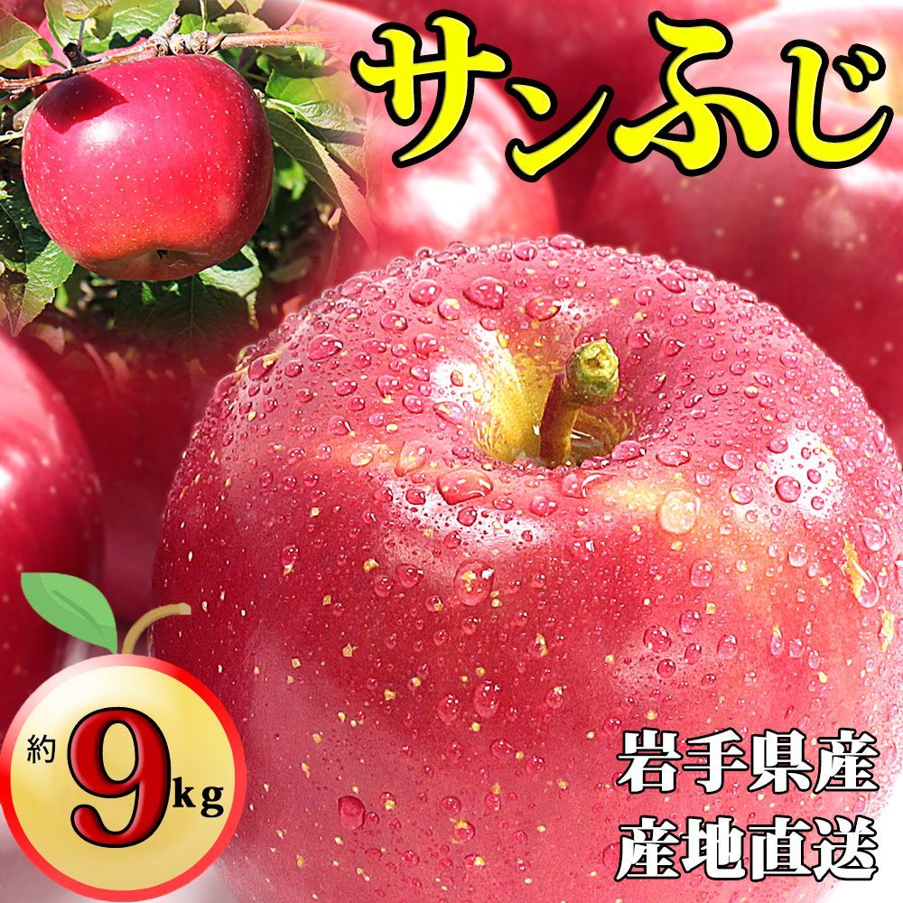 岩手県産 産地直送 サンふじ りんご 約9kg 送料無料 りんご 果物-0