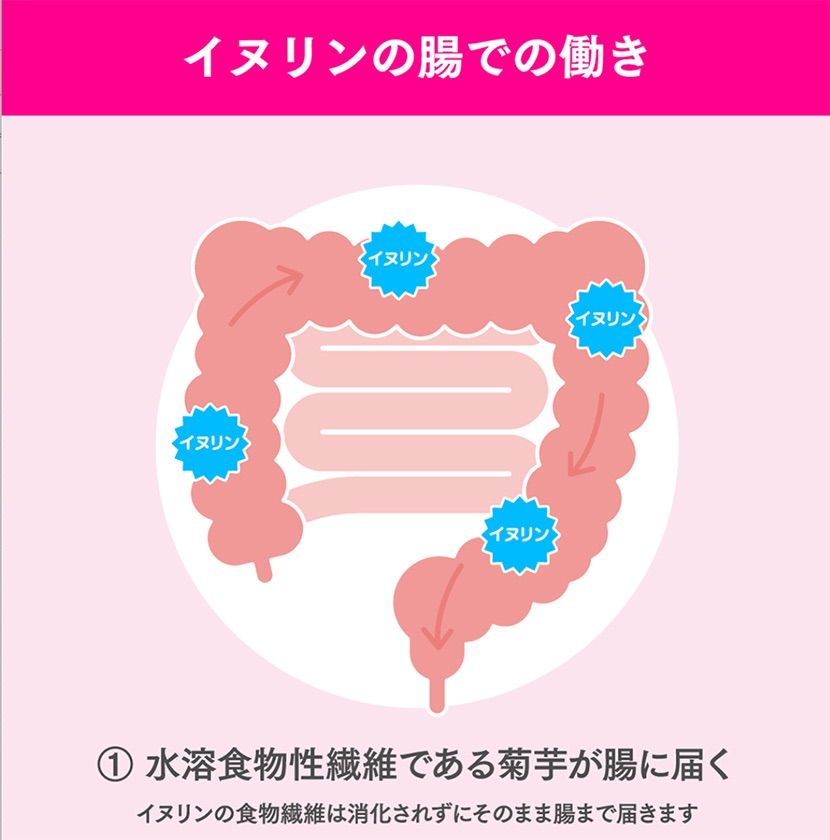 のサムネイル