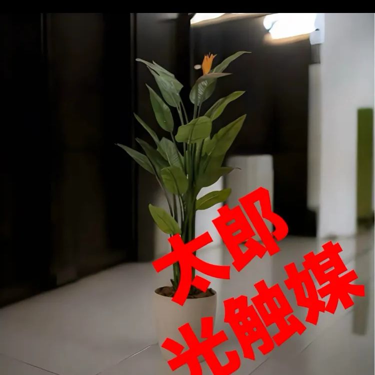 光触媒 人工観葉植物 ウォールグリーン フェイクグリーン 光触媒 人工観葉植物 ウォールグリーン フェイクグリーン