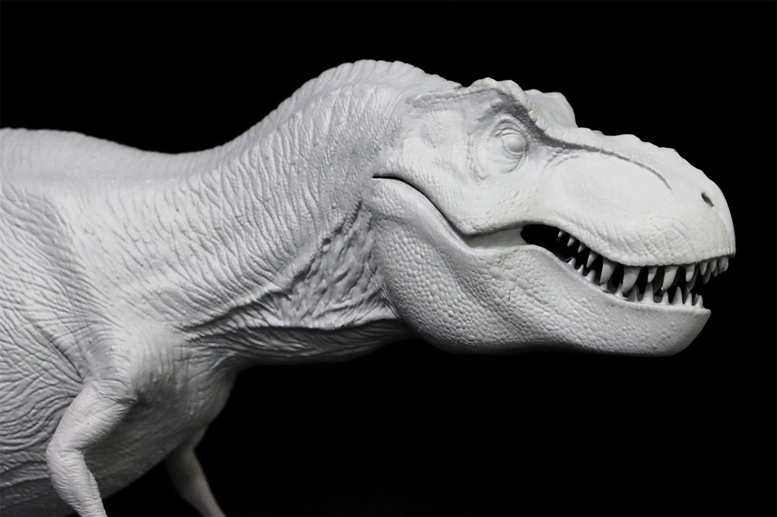 Nanmu 本心楠改 Alpha ティラノサウルス Tレックス 2.0 Ｔ-REX 38cm級