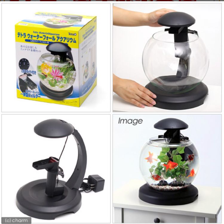 テトラ ウォーターフォールアクアリウム Amazon | テトラ (Tetra) ウォーターフォール アクアリウム
