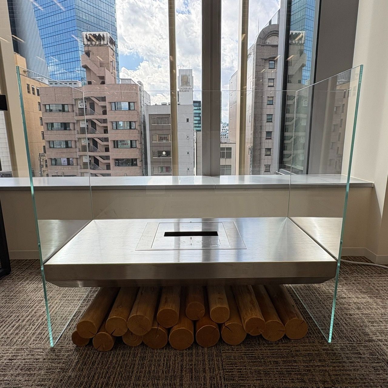 エコスマートファイヤー EcoSmart Fire Igloo Plasma Fire Screen スギ薪