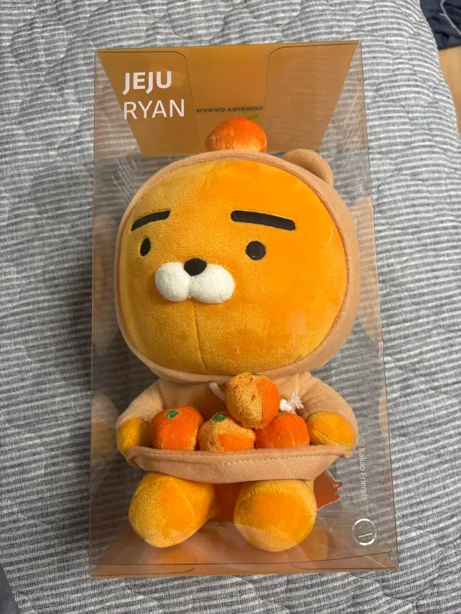 みかん 出品 済州 みかん ライアン-ブティック 大阪