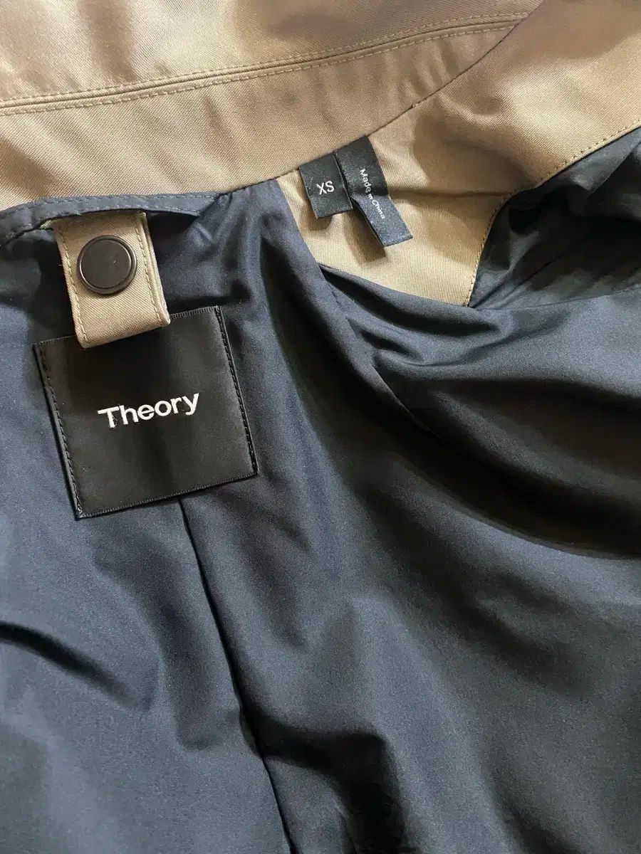 theory