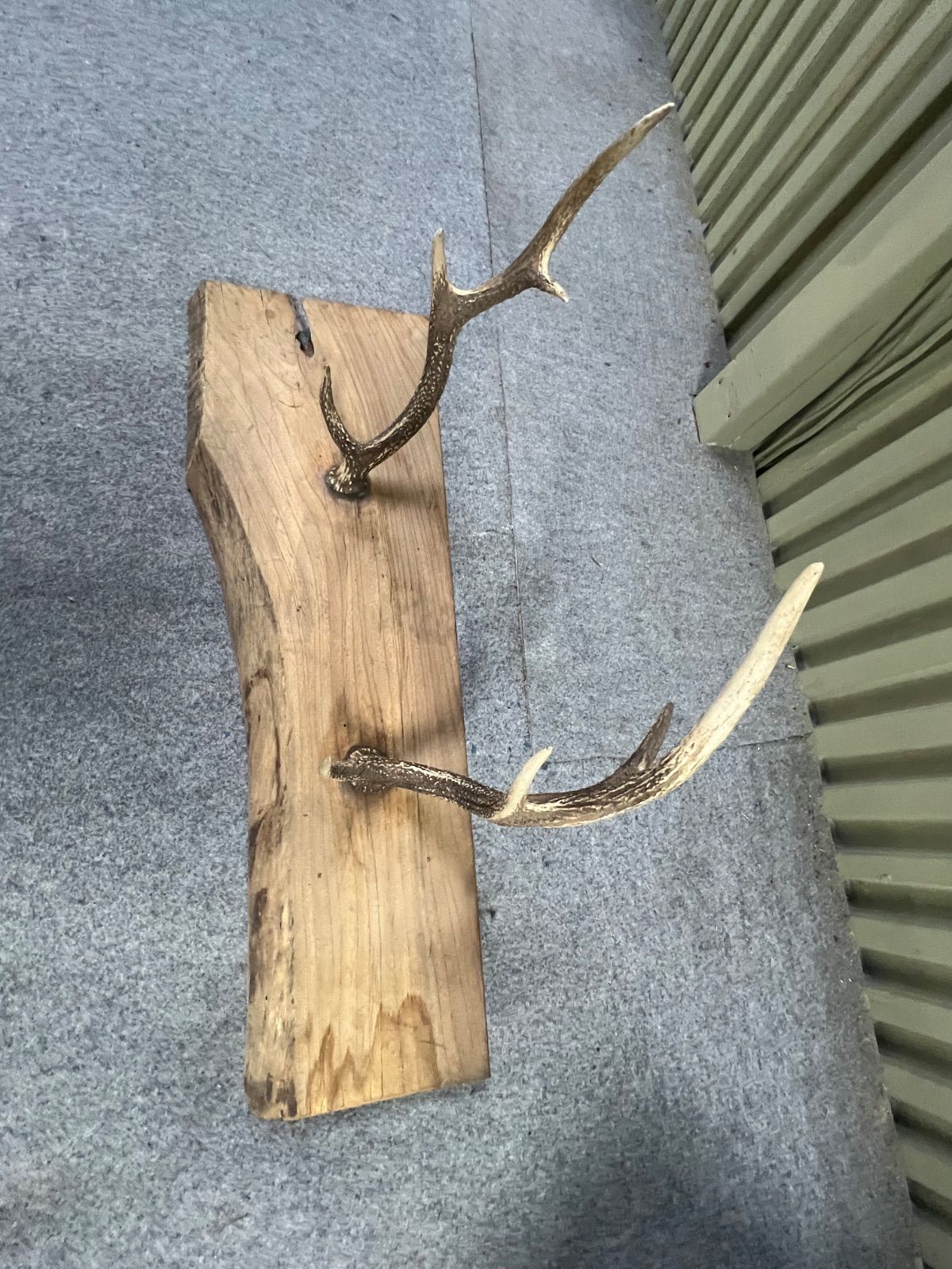 ⭐︎ 鹿の角 鹿角 オブジェ 土台付き 置物 アンティーク ◯ 鹿角