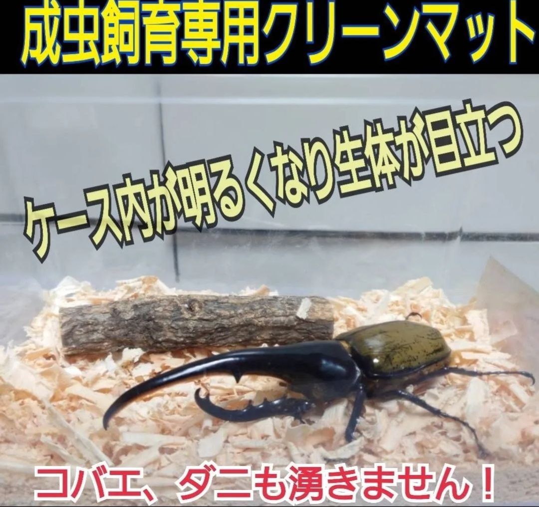 クワガタ・カブトムシ・ふわふわマット クワガタ カブトムシ