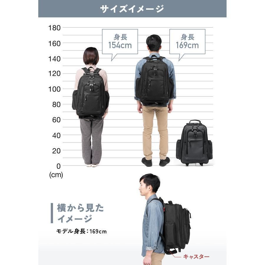 機内持ち込み 2WAY
