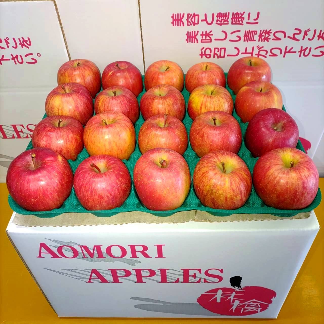 【1点のみ】ナチュラルアンティークの扉のようなキャビネット 1点のみ】ナチュラルアンティークの扉のようなキャビネット 小売