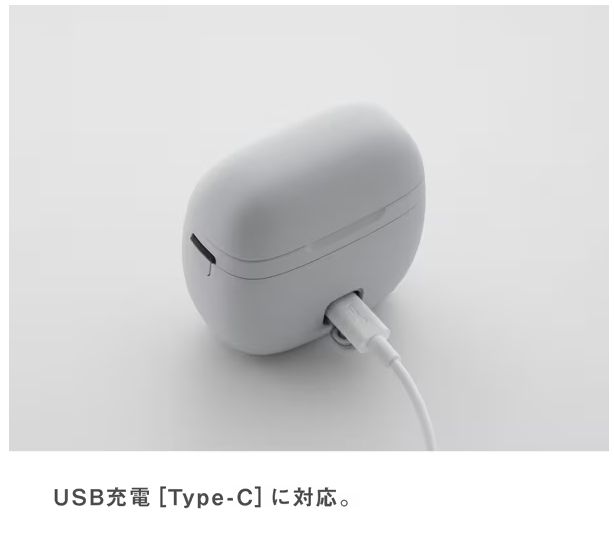 ラムダッシュ パームイン