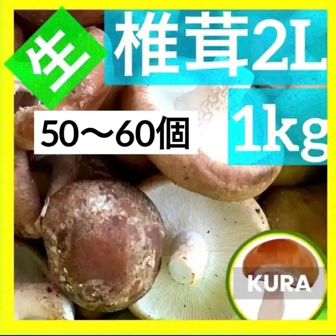 ☆大人気☆送料込み☆ 兵庫県淡路島産 生しいたけ♪ 2Lサイズ 1㎏ 生