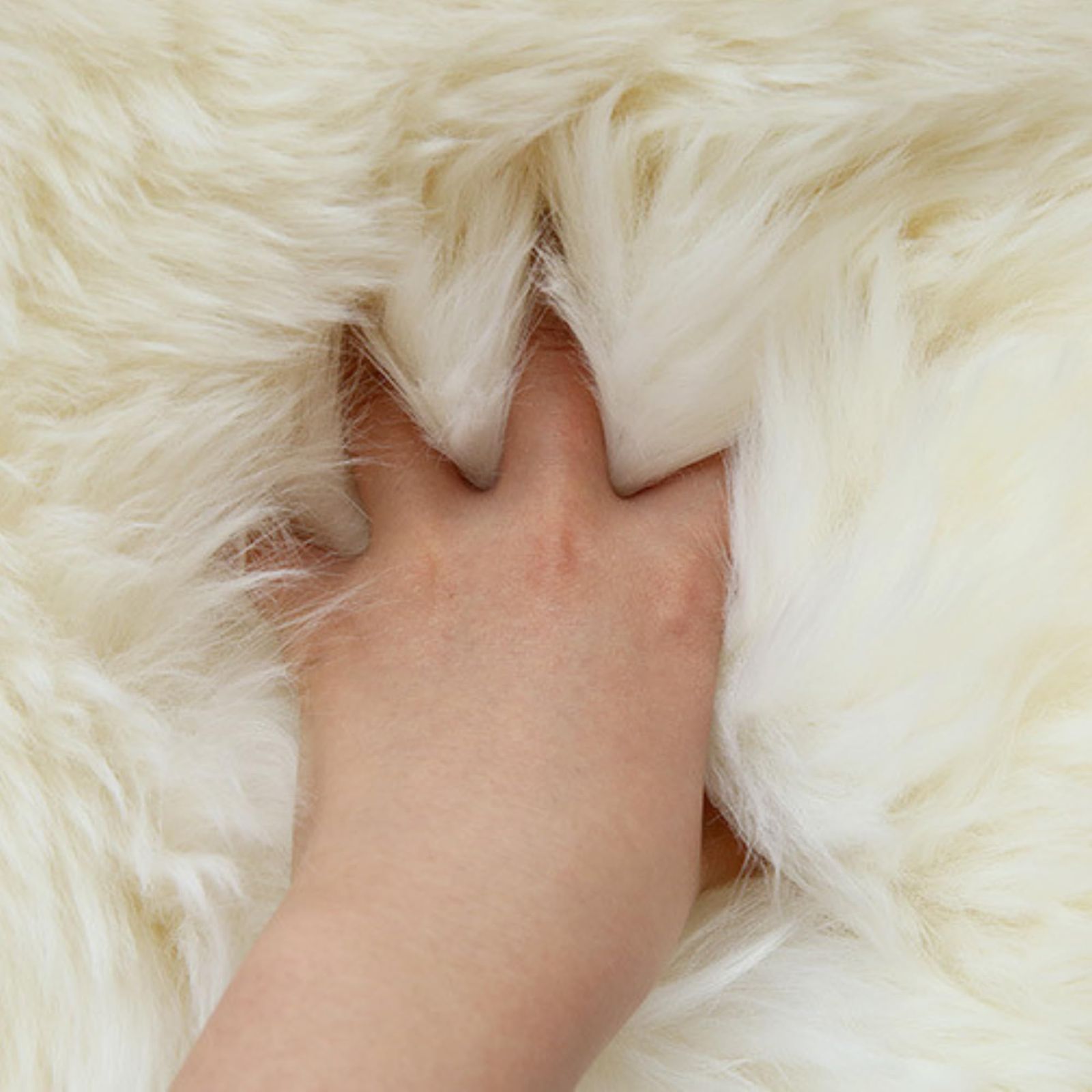 数量限定】羊皮の敷物、ニュージーランド産の長い毛並みが美しい本物の