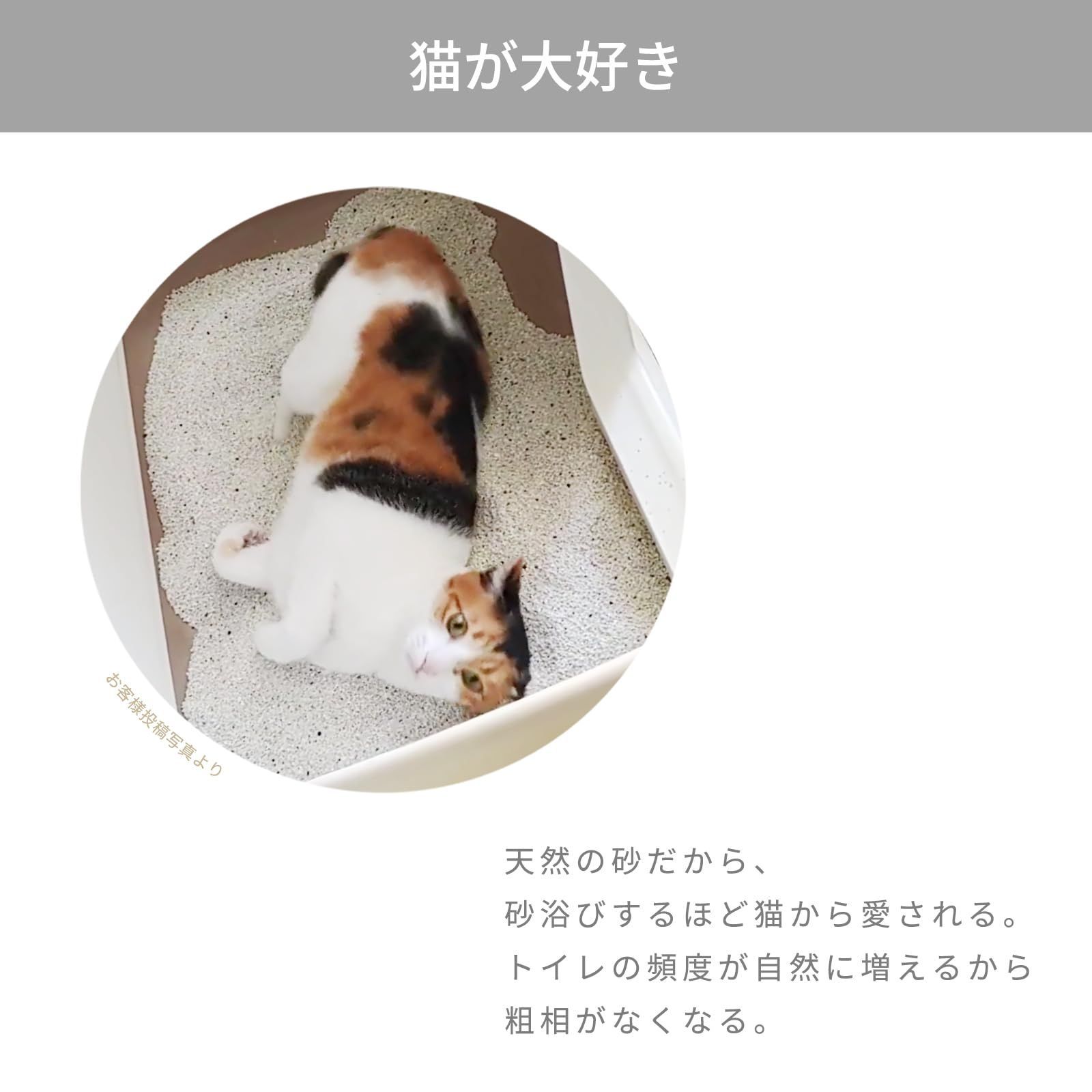無臭 Catmania