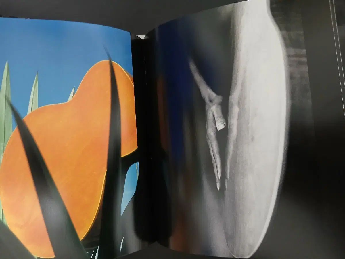  Light Strings ギター写真集 ラルフ ギブソン - アンディ サマーズ アート デザイン 音楽 本