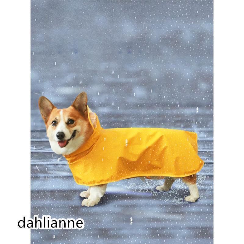 かわいい