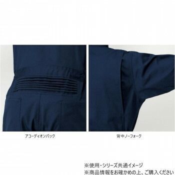ブルー 5L