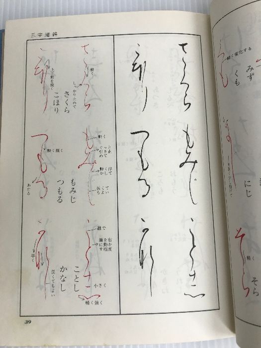 新独習シリーズ 書道 正しい手本と習い方＞ 仲田幹一 主婦の友社 書方 毛筆 楷書 調和体 美しい字 - メルカリ