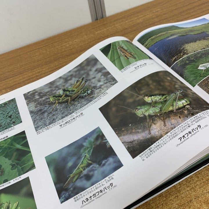 ▲01)【同梱不可】大雪山の自然3 動物昆虫 改訂版/昆野安彦/北海道新聞社/2004年発行/生物学/A △01)【同梱不可】大雪山の自然3 動物昆虫 改訂版/昆野安彦