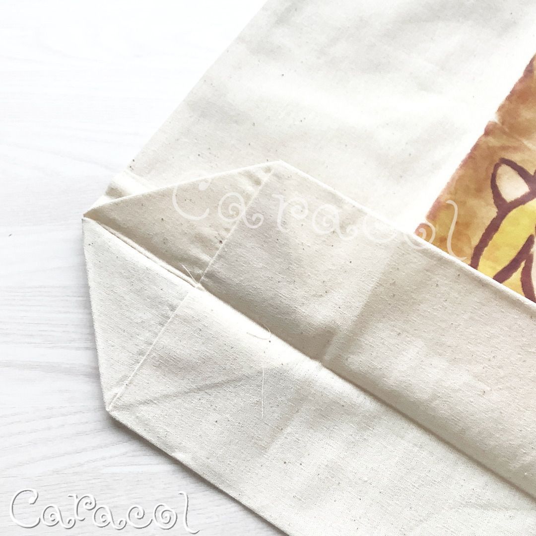 2種セット】ゼルダの伝説 知恵のかりもの ゼルダ姫手配書トートバッグ