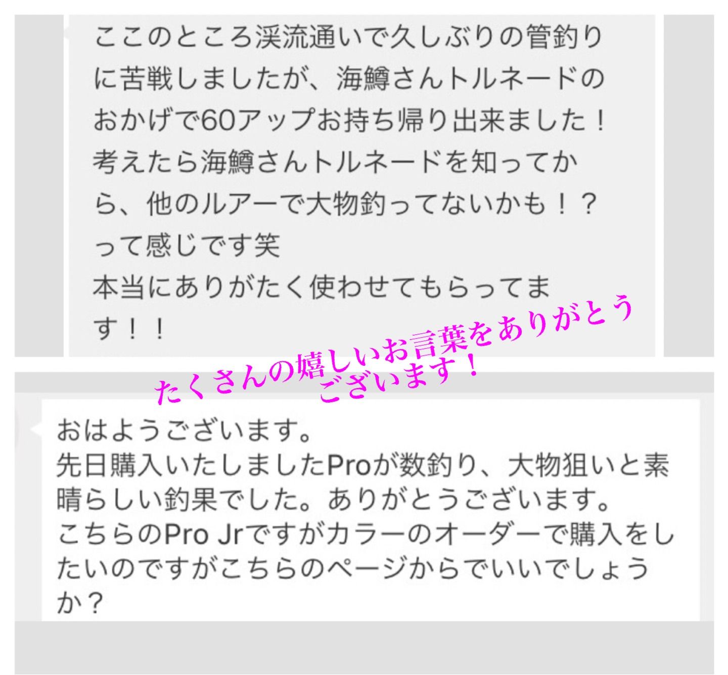 エリアトラウト 管釣り【形状記憶】海鱒スパイラルPro4本 左右セット - メルカリ - ルアー用品