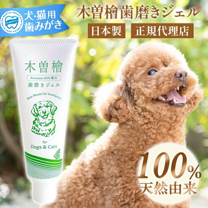 1日81円で愛犬を守れます 木曽檜歯磨きジェル ペット用 120g ペット 歯磨き粉 歯磨きジェル 携帯用 デンタルジェル 木曽檜 ジェル ハミガキジェル 天然 歯周病 はみがき粉 はみがき 予防ケア 木曽ひのき 口腔ジェル