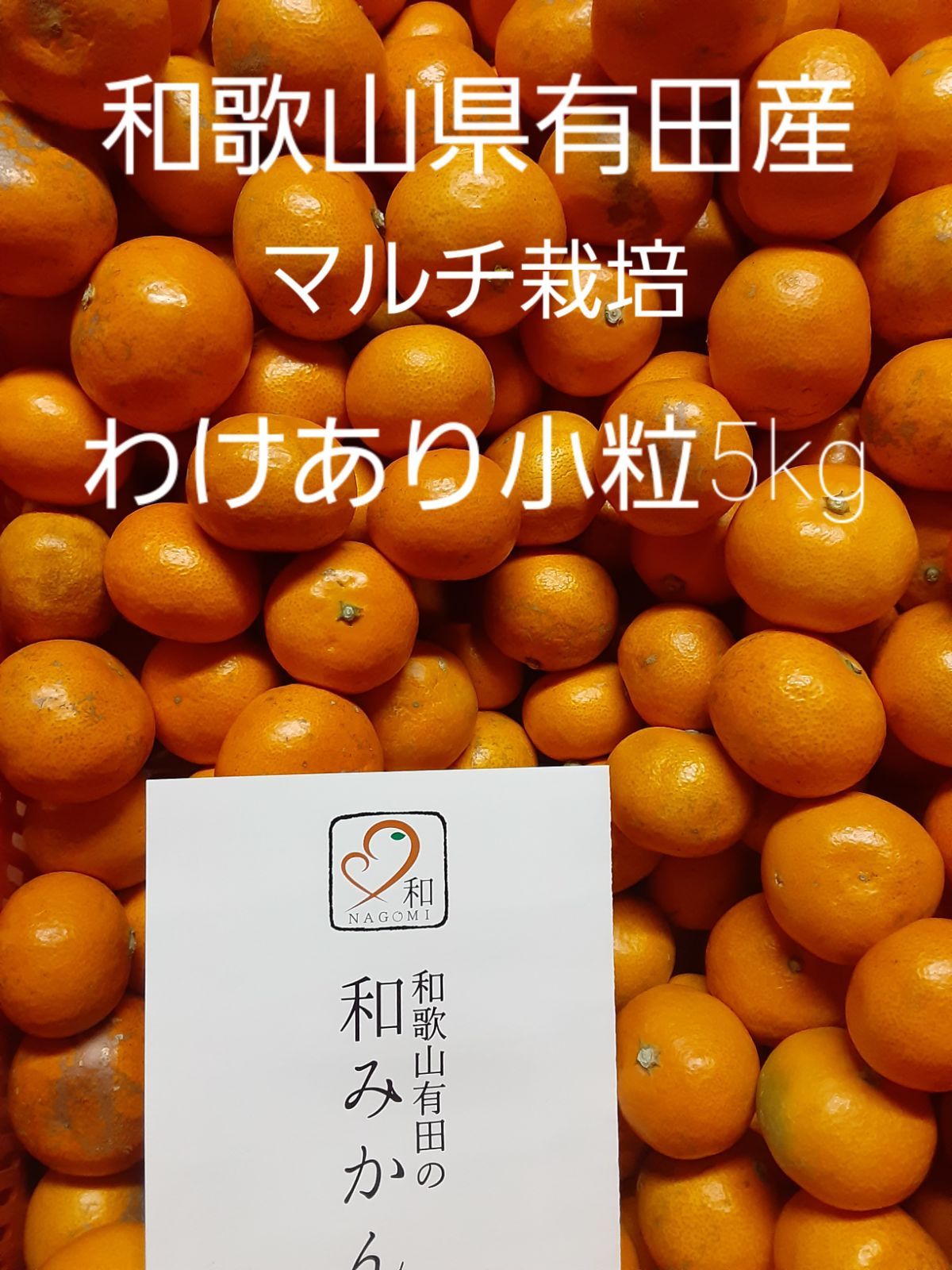 SEAL限定商品 みかん 和歌山 和歌山県有田産 マルチ栽培 和みかん4kg