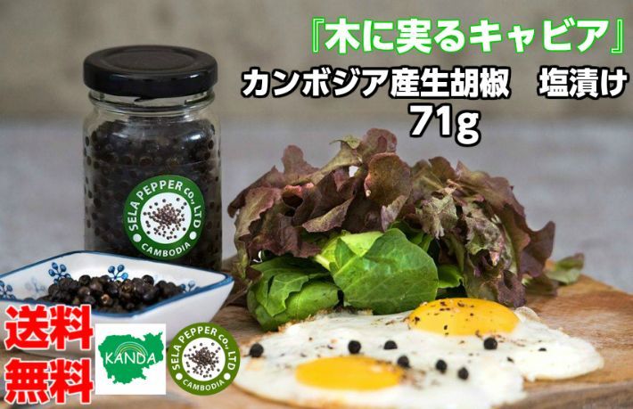 塩漬け生胡椒 71g カンボジア産 胡椒　【木に実るキャビア】