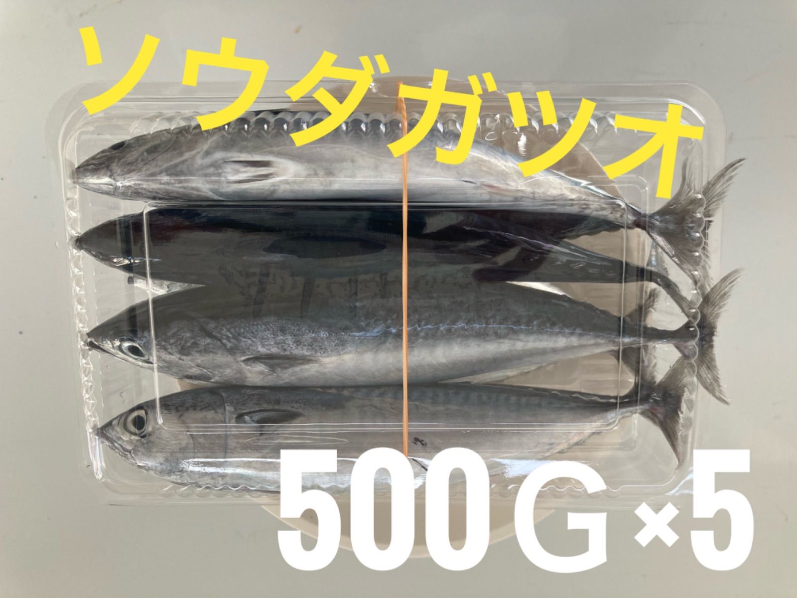 シガヤーダコ 2キロ シガヤーダコ1kg 沖縄県産シガヤーダコ大 シガヤーダコ 2キロ シガヤーダコ1kg 沖縄県産シガヤーダコ大